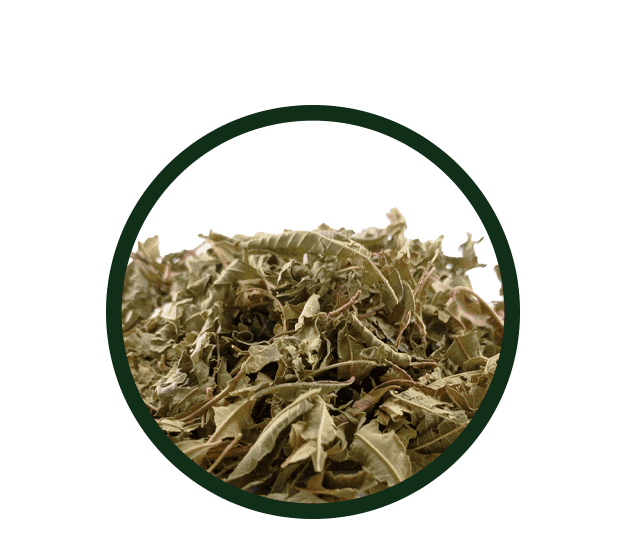 Cedrón 500g