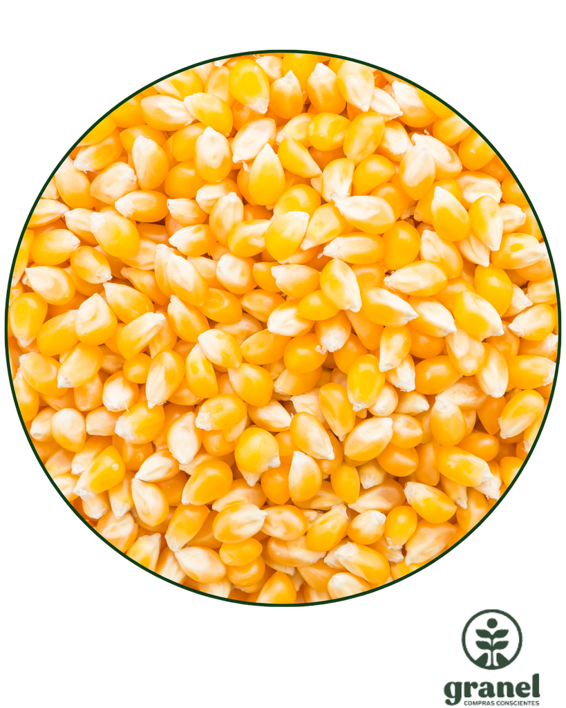 Maíz pop pisingallo 2kg (envase plástico)