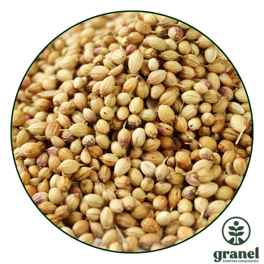 Coriandro en grano 250g