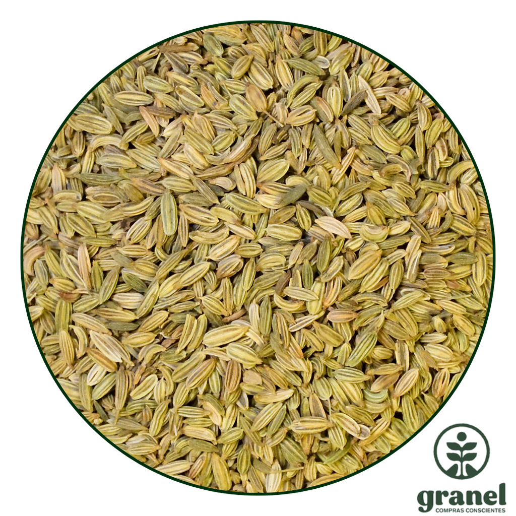 Hinojo en grano 1kg