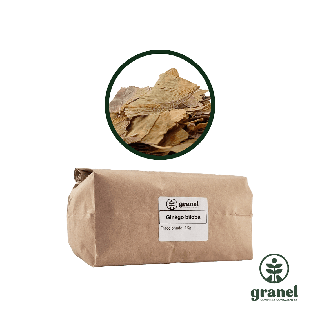 Ginkgo biloba 1kg