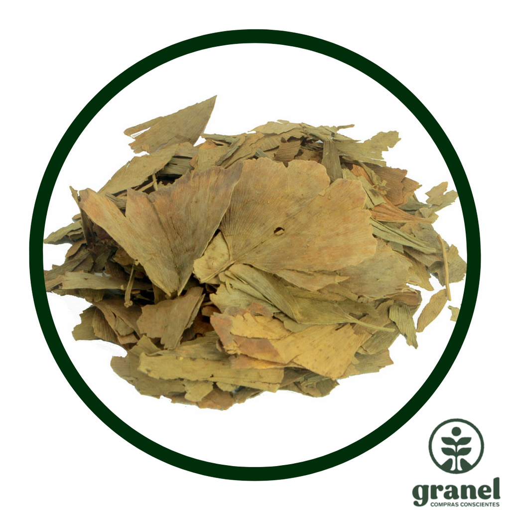 Ginkgo biloba 1kg