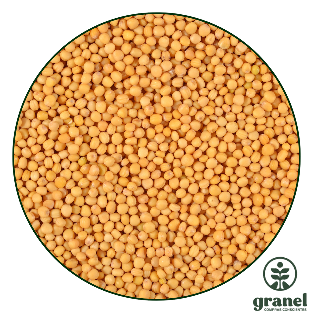 [6304] Mostaza amarilla en grano 250g